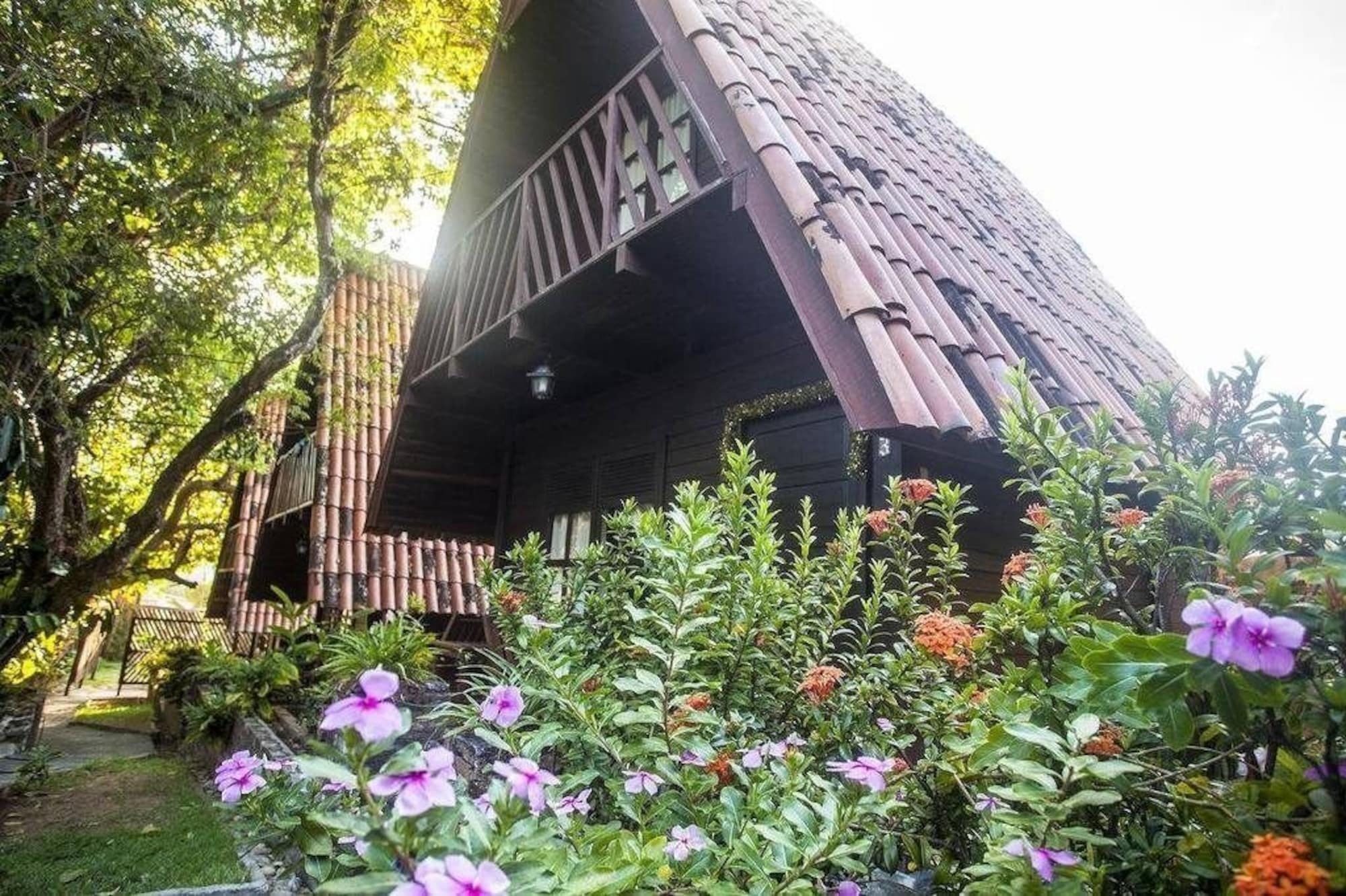 Chalet Suisse Natal Bagian luar foto